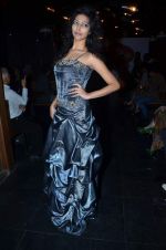 at Designer Aarti Vijay Gupta showcases collection in Rude Lounge on 30th Jan 2012 (1).JPG